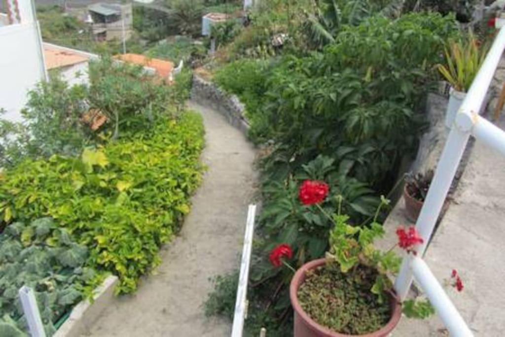 House Rural,Biosphere Reserve World.Taganana.Tfe. Σάντα Κρουζ Τενερίφης Εξωτερικό φωτογραφία