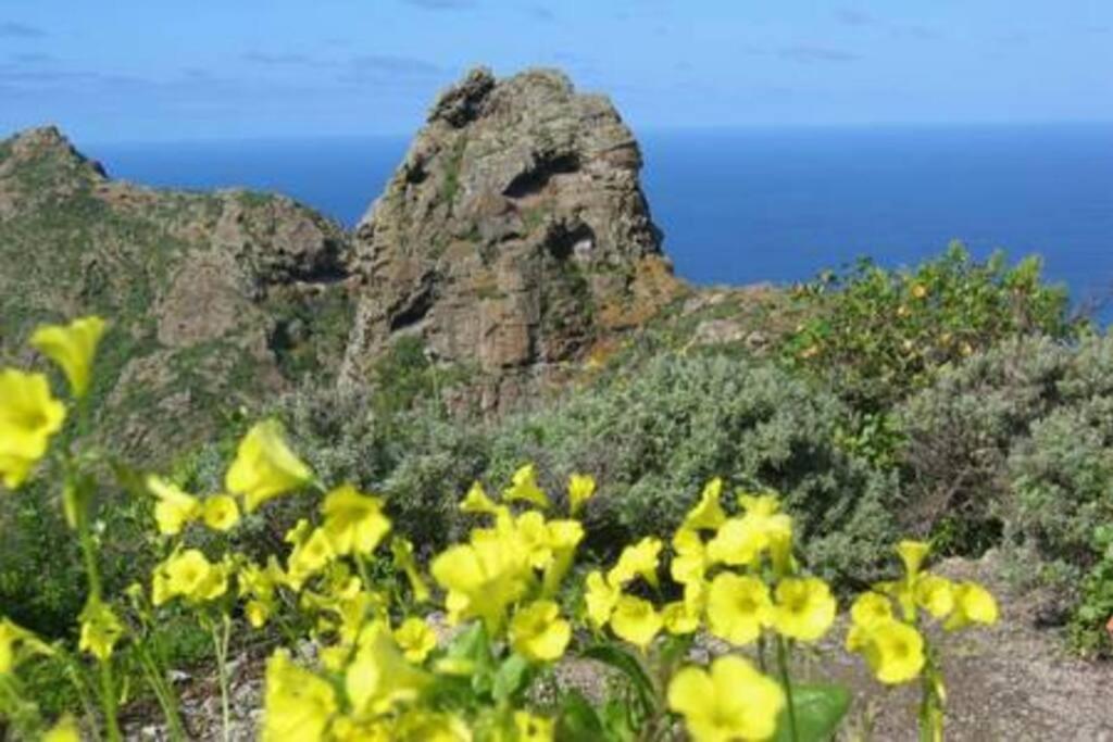 House Rural,Biosphere Reserve World.Taganana.Tfe. Σάντα Κρουζ Τενερίφης Εξωτερικό φωτογραφία